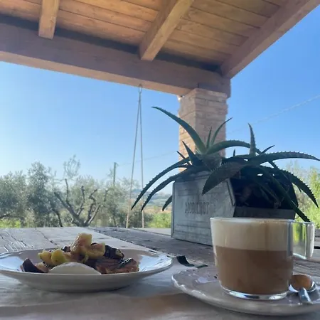 Verdeolivo Bed & Breakfast Coriano