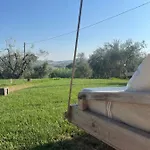 Verdeolivo Coriano