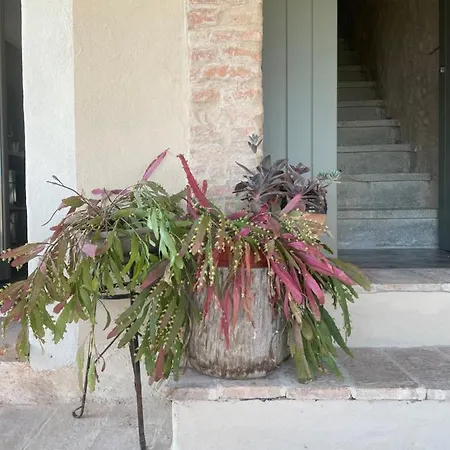 Verdeolivo Bed & Breakfast Coriano