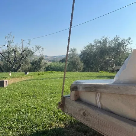 Verdeolivo Coriano