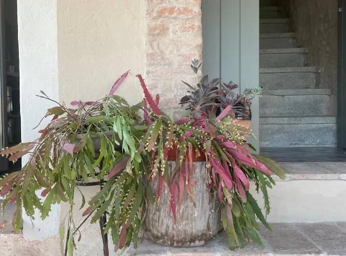 Verdeolivo Bed & Breakfast Coriano