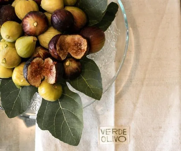 Verdeolivo 科里亚诺