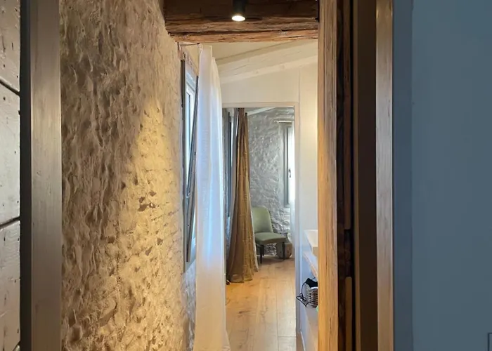 Verdeolivo 科里亚诺