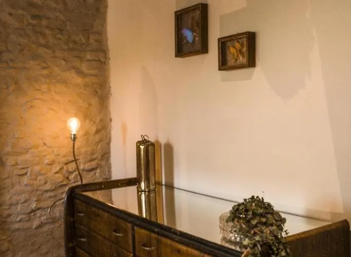 Verdeolivo 住宿加早餐酒店 科里亚诺