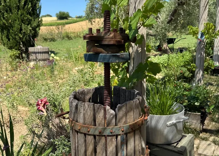 Verdeolivo לינה וארוחת בוקר 4*