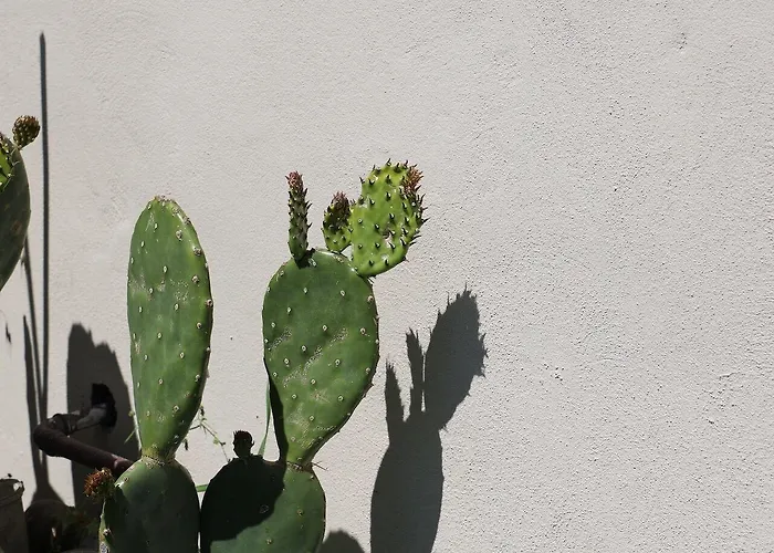 לינה וארוחת בוקר Verdeolivo